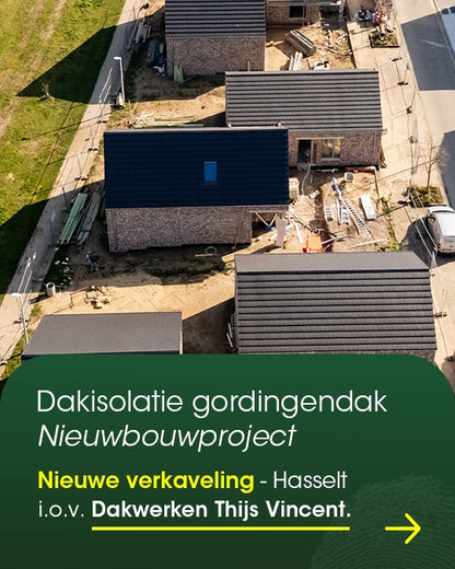 Project Dakwerken Thijs Vincent
